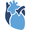 Improved Blood Circulation